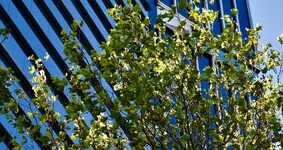 Итоги бизнес-завтрака «Ключевые изменения в налогах и бухучёте 2026-2027: разбор нововведений»