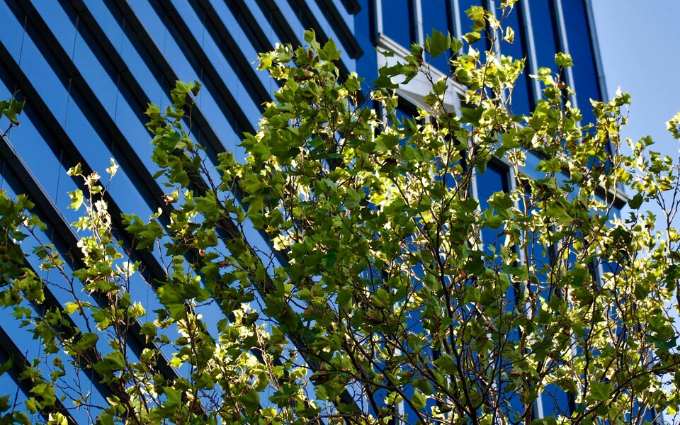 Итоги бизнес-завтрака «Ключевые изменения в налогах и бухучёте 2026-2027: разбор нововведений»