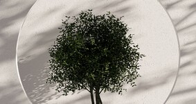 Управляющий партнёр «Мариллион» Наталья Цой для портала Life.ru