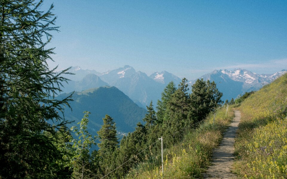 Эксперты «Мариллион» — в топе юридического рейтинга «Российской газеты» 2025