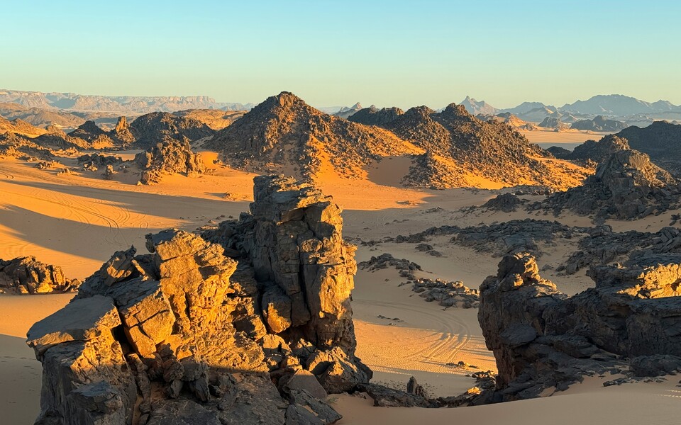 Выступление спикеров «Мариллион» в рамках заседания Комитета по аудиту и рискам НАКД