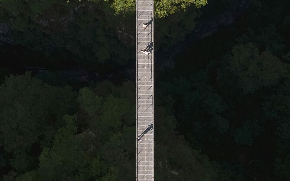 ГлобалМСК.ру: Анализ требований от налоговой инспекции – как грамотно действовать бухгалтеру