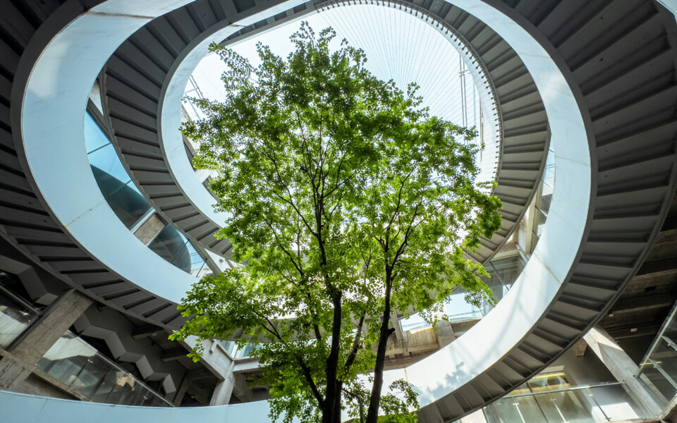 Top Flight: цена ошибки в бухгалтерском учёте