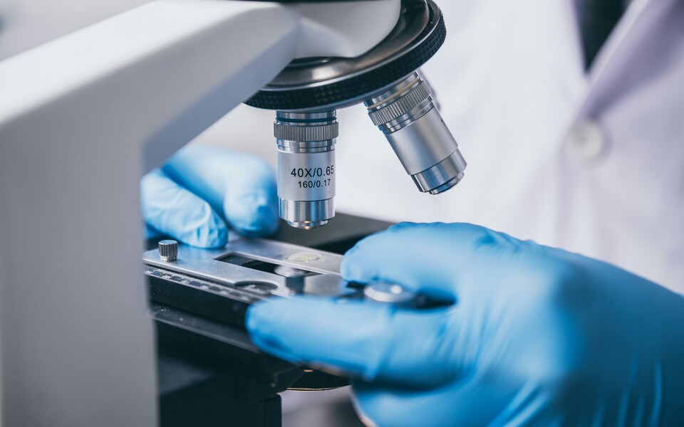 RBG: Биоэкономика в медицине. Этико-правовые вызовы и возможности