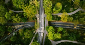 RBG: «Мы обеспечиваем стабильность отчётности в динамично меняющемся налоговом и правовом поле» — интервью с Даниилом Берлизовым