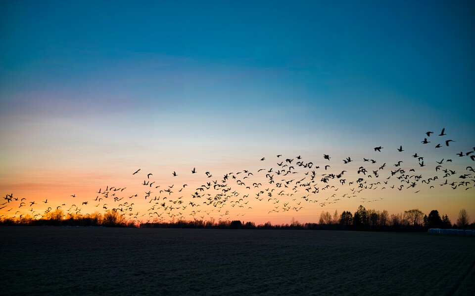 Новости миграционного законодательства