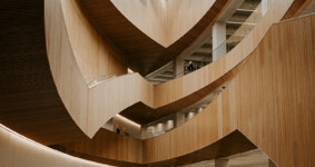 Займы учредителям (акционерам): признание дивидендами, зарплатой или другим доходом