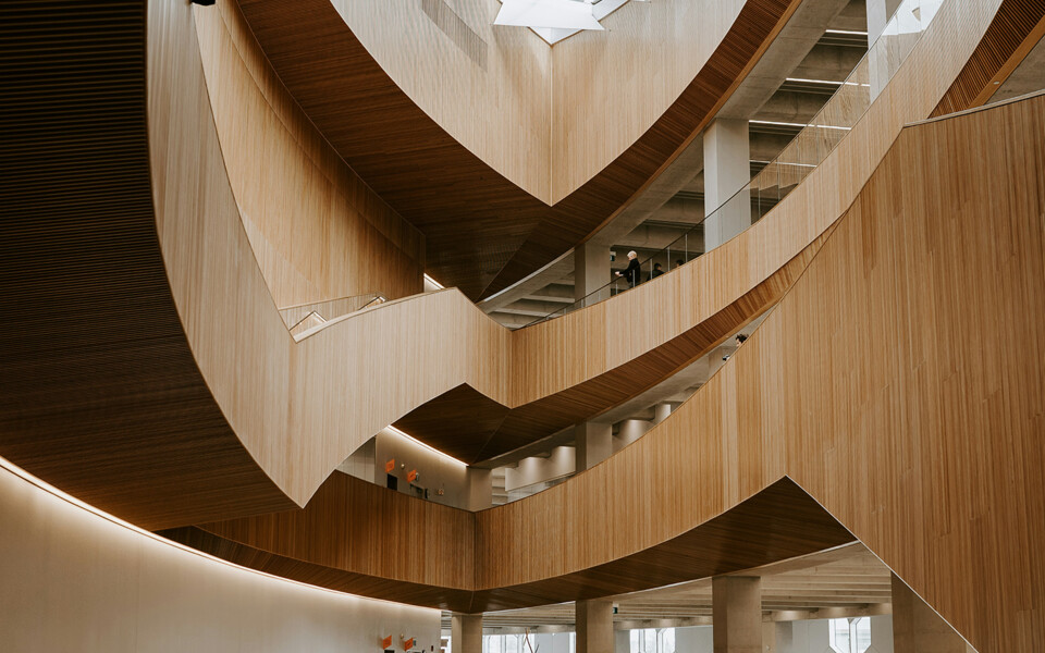 Займы учредителям (акционерам): признание дивидендами, зарплатой или другим доходом