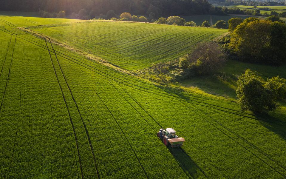О квотах на привлечение иностранных граждан к трудовой деятельности в РФ