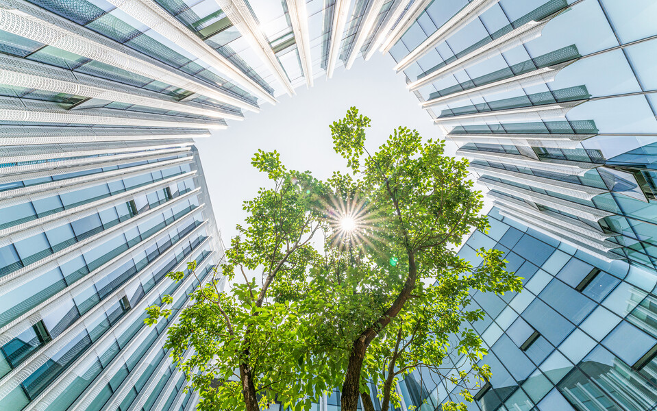 Итоги вебинара «Финансирование, приостановление деятельности организации в текущих условиях»