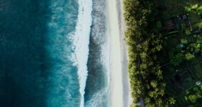 Генеральный директор не вправе самостоятельно повышать себе заработную плату без согласия собственников компании