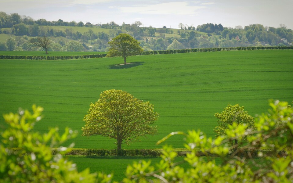 Правительство одобрило приостановку налоговых соглашений с «недружественными» странами