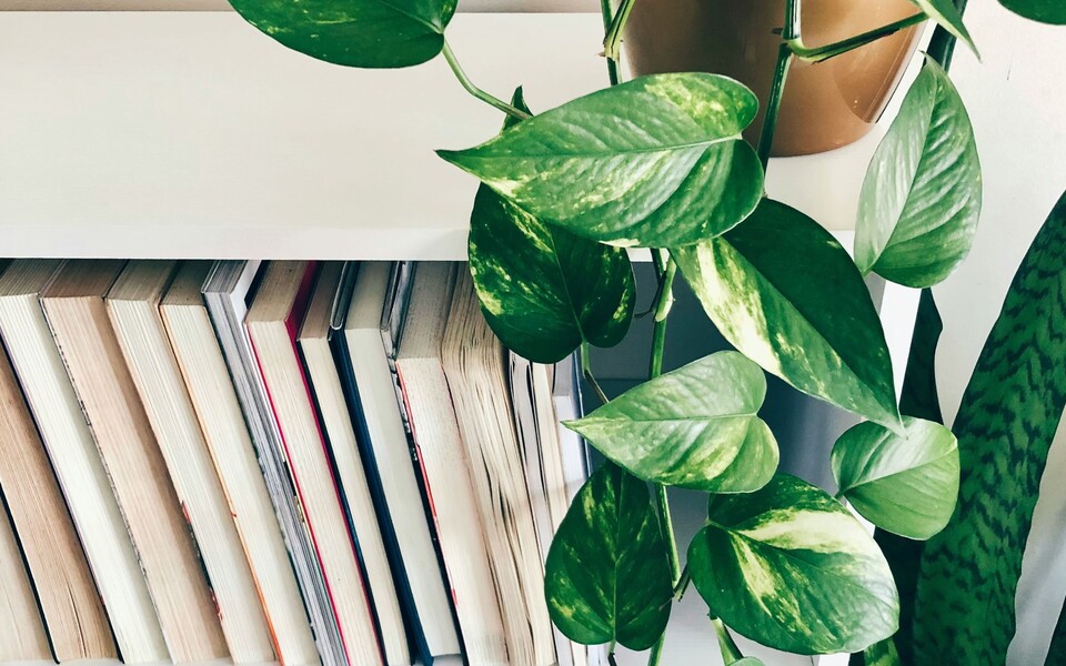 Группа компаний «Мариллион» приняла участие в защите проектов студентов магистратуры НИУ ВШЭ