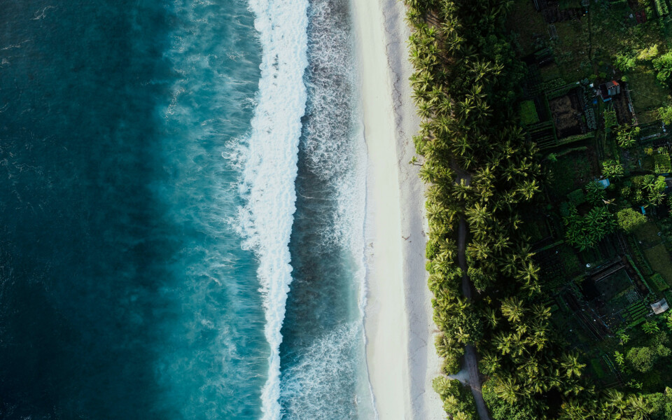 The General Director is not entitled to unilaterally increase their own salary without the consent of the company’s owners