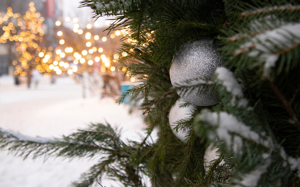 Управляющий партнёр «Мариллион» Полина Виксне на рождественской встрече Женского клуба «Коммерсантъ»