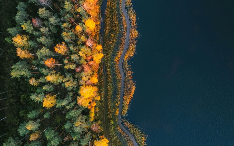 Мариллион на международном форуме «БИОПРОМ 2025»